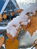 Осенние каникулы с #хмтк