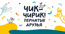 "Чик-чирик: пернатые друзья" - новая встреча семейного клуба «ТЕАТРиК»
